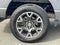 2024 Ford F-150 STX 4WD SuperCab 6.5' Box