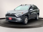 2025 Toyota RAV4 XLE AWD (Natl)