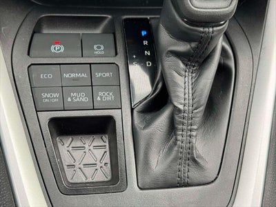 2025 Toyota RAV4 XLE AWD (Natl)