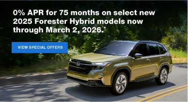 Forester Hybrid | Subaru World of Newton in Newton NJ