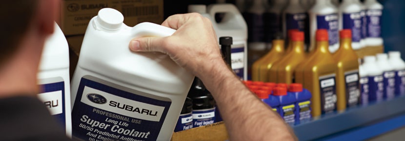 Picture of Subaru Super Coolant. | Subaru World of Newton in Newton NJ