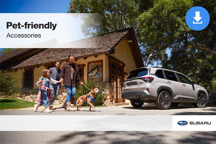 Subaru World of Newton in Newton NJ