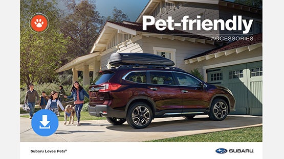 Subaru World of Newton in Newton NJ
