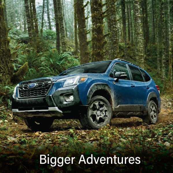 A blue Subaru outback wilderness with the words &ldquo;Bigger Adventures&ldquo;. | Subaru World of Newton in Newton NJ