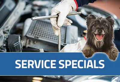 Subaru World of Newton in Newton NJ