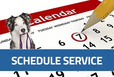 Subaru World of Newton in Newton NJ