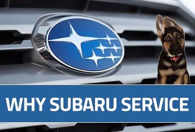 Subaru World of Newton in Newton NJ