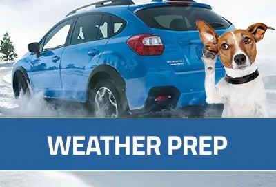 Subaru World of Newton in Newton NJ