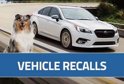 Subaru World of Newton in Newton NJ